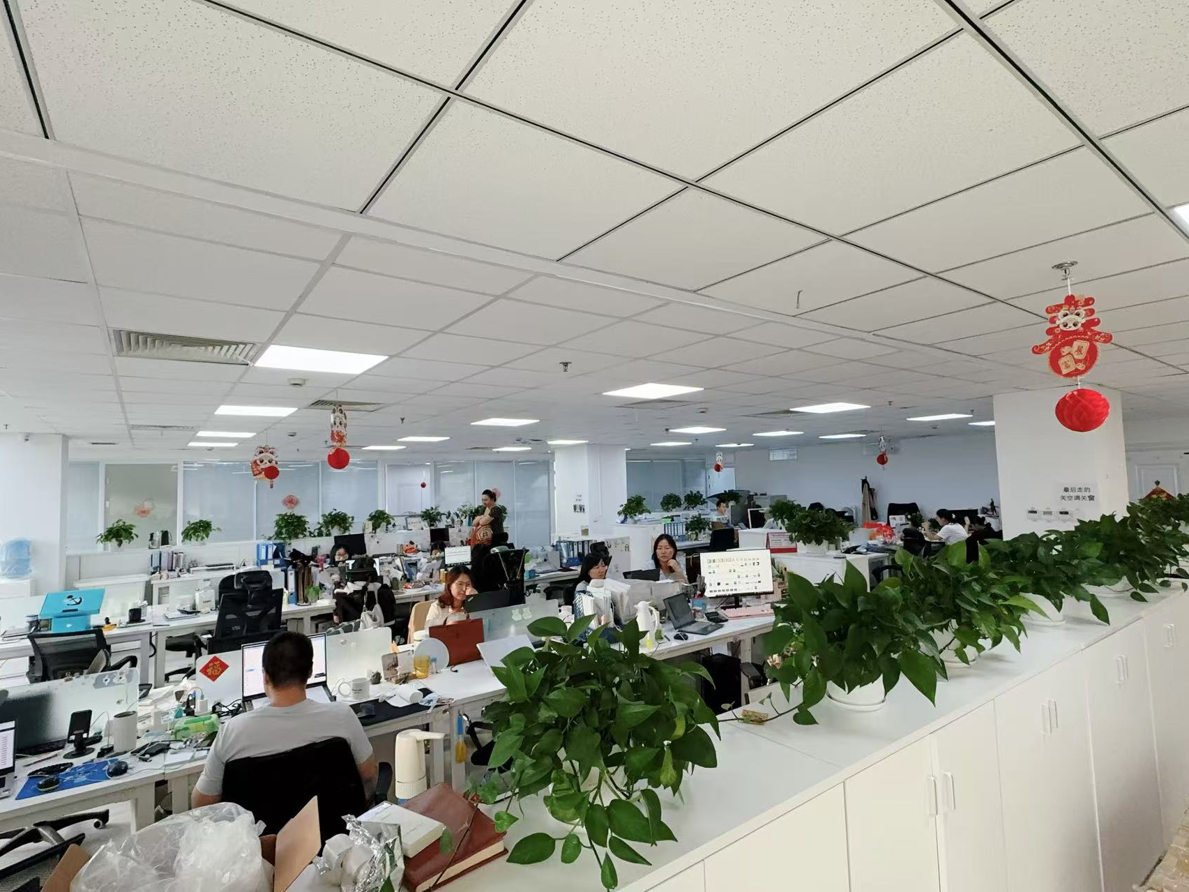 China Hong Kong Starsurge Group Co., Limited Bedrijfsprofiel