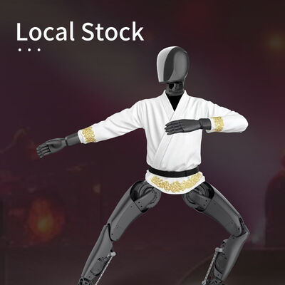 AgiBot A2 Lite: Herdefiniëring van Mens-Robot Samenwerking Meester van Prestaties
Volwaardige Al Ster